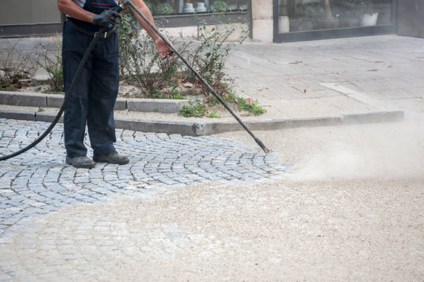 Best Sidewalk and Walkway Cleaning  in Chauvin, LA