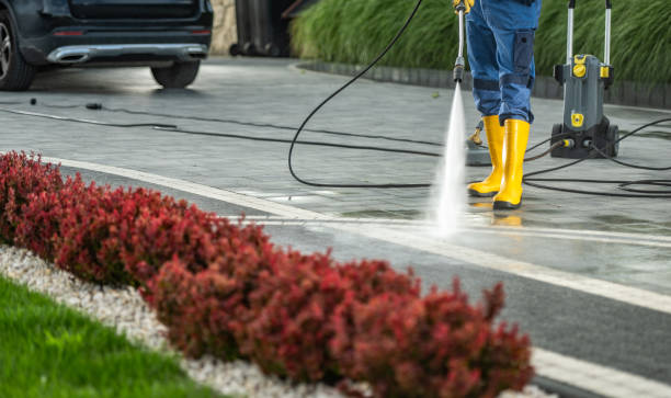 Professional Pressure Washing in Chauvin, LA